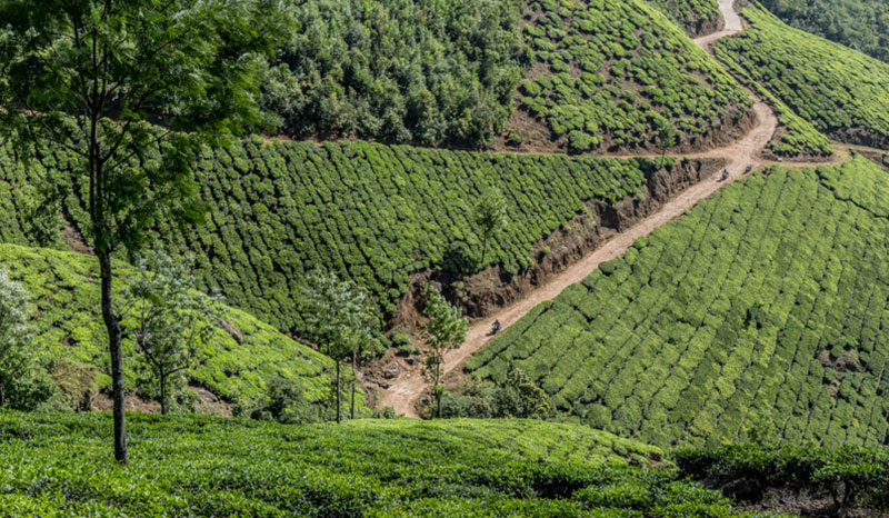 unroad-kerala-11
